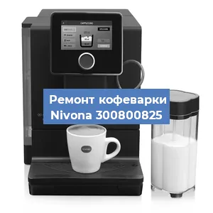 Ремонт капучинатора на кофемашине Nivona 300800825 в Красноярске